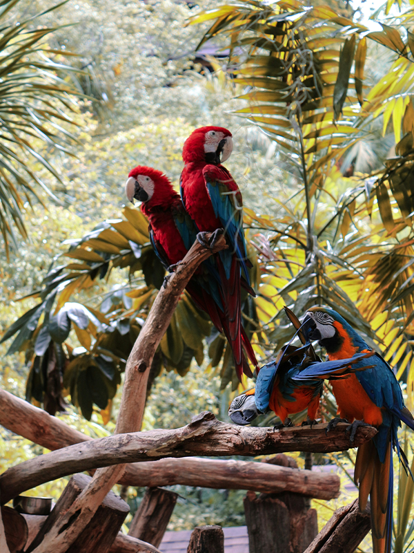 Malaysia nature