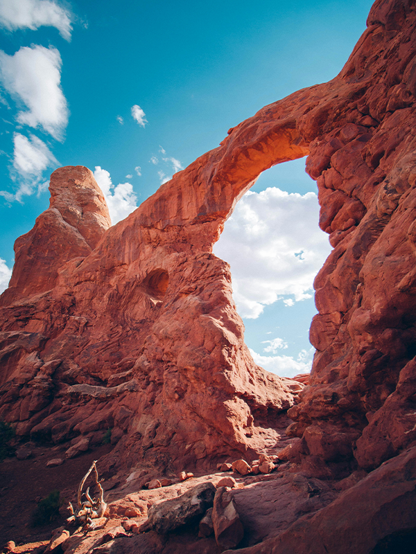 USA nature
