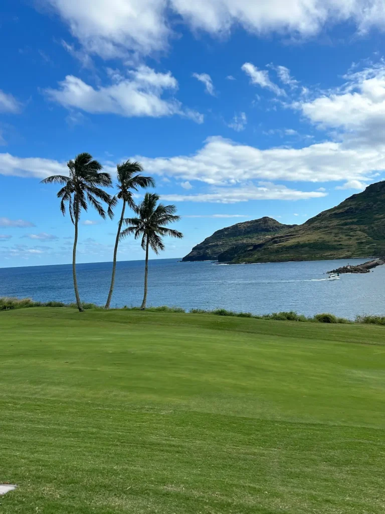 Hawaii landscape with palm trees and the ocean