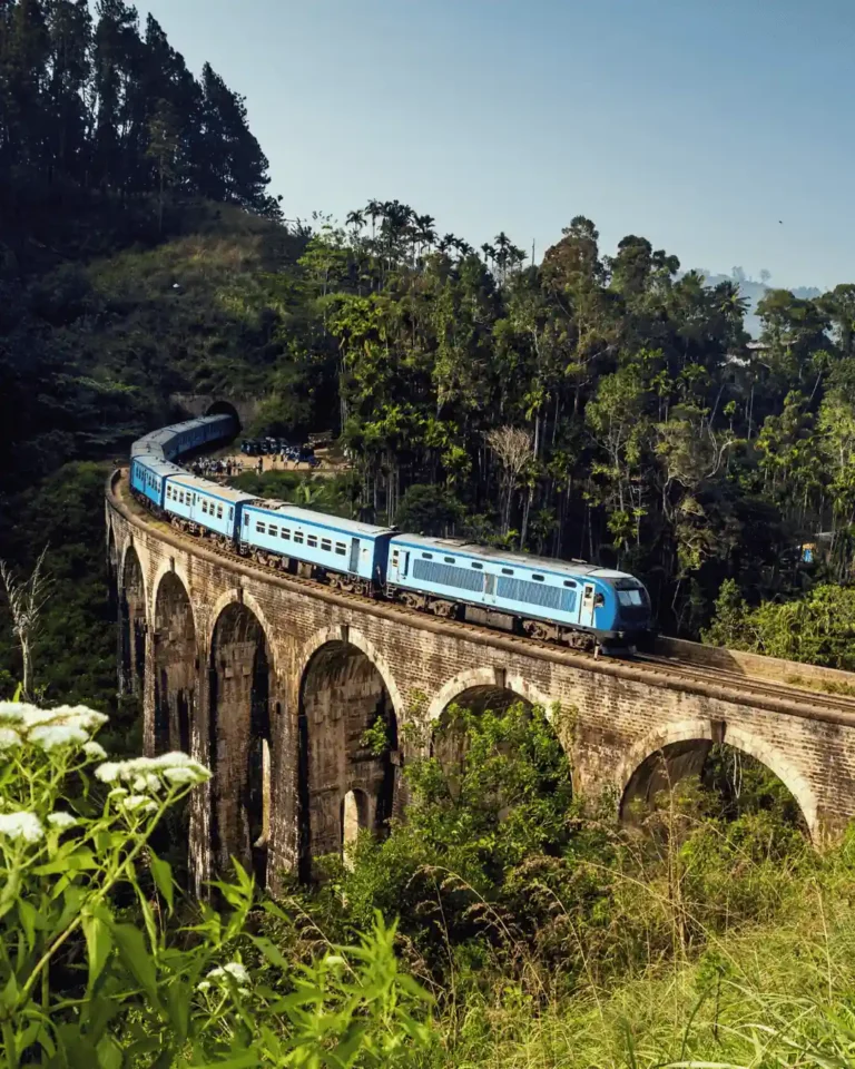 Train in Sri Lanka