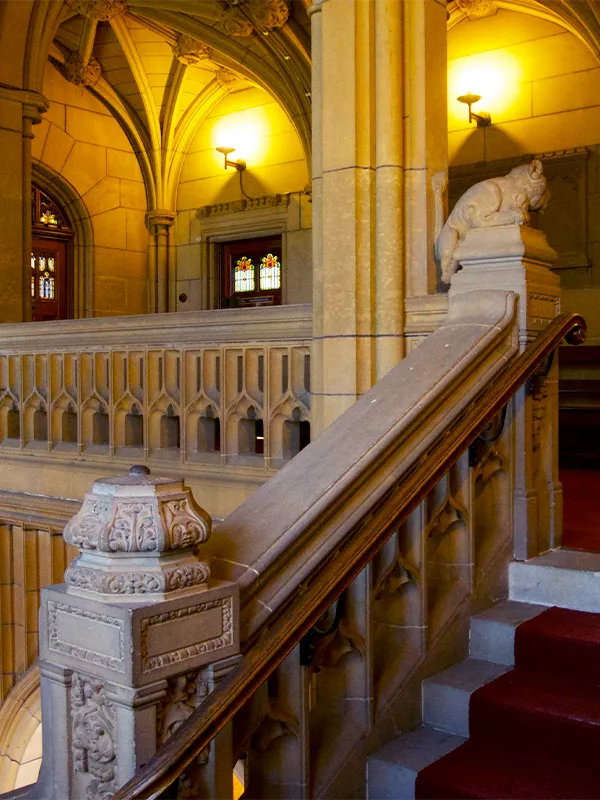 Ornate Gothic interior staircase inside the University of Sydney, featuring carved sandstone balustrades, a lion sculpture at the newel post, vaulted stone ceilings, and stained-glass windows; showcasing the historic campus environment for prospective international students.