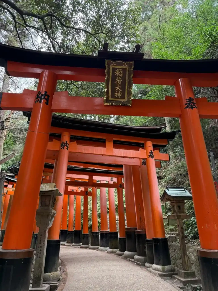 Traditional Japanese gates, photo taken by an exchange student