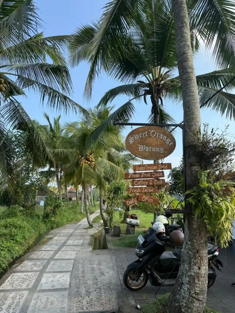 Street in Bali